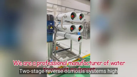 Customized Pure Water Treatment Equipment Industrial Reverse Osmosis Purification for All Water Source